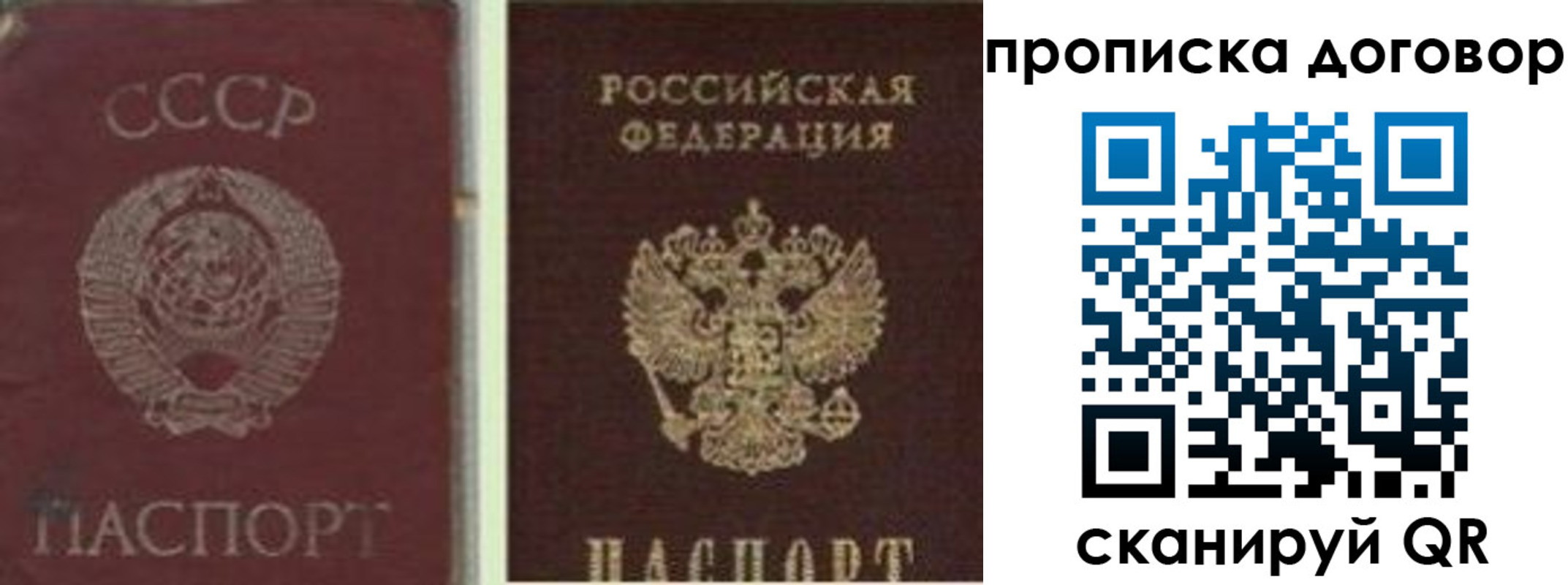 прописка гарантия в Павловске